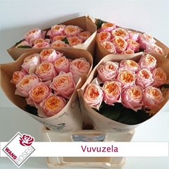 R Gr Vuvuzela 60cm