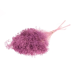 Dec Gr Kleurbe 21% 45cm 100gram