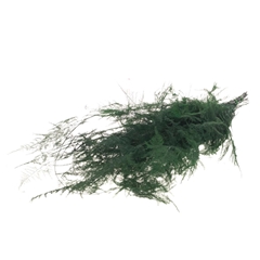 Dec Gr Kleurbe 21% 65cm 110gram