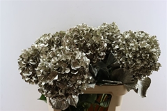 Hydra Ov Colortreated 80cm 22cm Ø