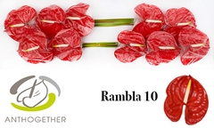 Anth A Rambla 15cm Ø