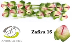 Anth A Zafira -PK- 11cm Ø