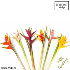 Helic Gem 100cm