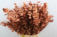 Euc Cin Klb P Bunch H% 70cm 200gram