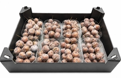 Gewaxde Appel 21%