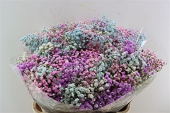 Gyps Colortreated 80cm 40gram