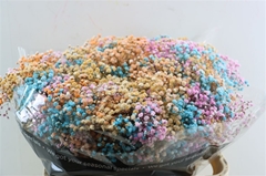Gyps Colortreated 80cm 40gram