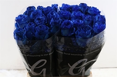 R Gr Colortreated 50cm