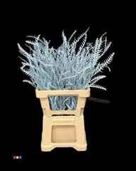 Decorgr Klb Pb 21% 60cm