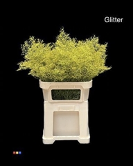 Limonium Yellow + Glitter Bio