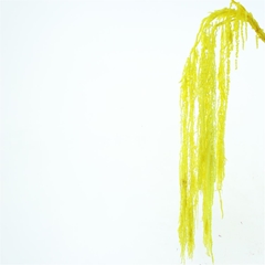 Droogbl Bewerkt H% 90cm 200gram