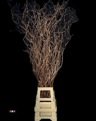 Salix 130cm Copper