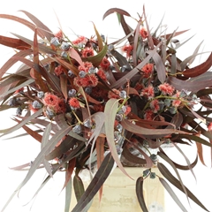 Eucalyp Klb Bs H% 60cm 300gram