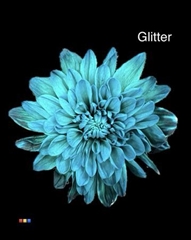 Chr T 2 Kl Baltica Ocean Green + Glit Bio