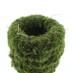 Krans Mos 21%