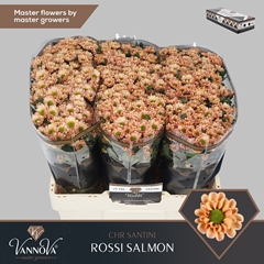 Chr San Rossi Salmon 55cm 110g