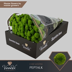 Chr S Aaa Peptalk 55cm 110g