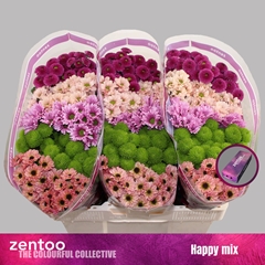Chr San Mixed 55cm 120g