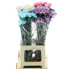 Di St Ov Klb 21% 70cm 23