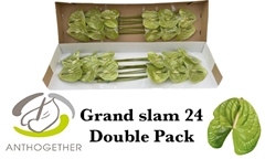 Anth A Grand Slam 13cm Ø