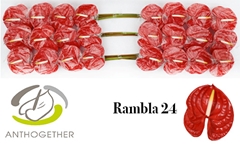 Anth A Rambla 11cm Ø
