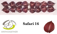 Anth A Safari 11cm Ø