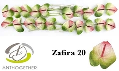 Anth A Zafira -PK- 9cm Ø