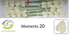 Anth A Moments 9cm Ø