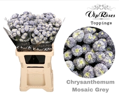 Chr T Mosaic Grey