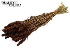 Gierst Brown 70cm 250gram
