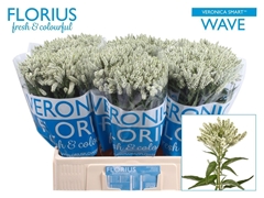 Veron Smart Wave 60cm