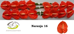 Anth A Naranja 11cm Ø