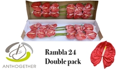 Anth A Rambla 13cm Ø