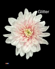 Chr T 2 Kl Baltica Pastel Pink + Glit Bio