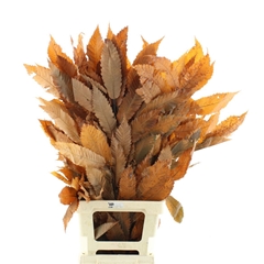 Droogbl Bewerkt H% 90cm 200gram