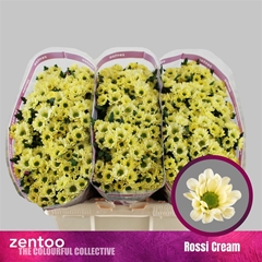 Chr San Rossi Cream 55cm 100g