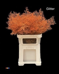 Limonium Orange + Glitter Bio