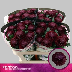 Chr G Poker 70cm 80gram