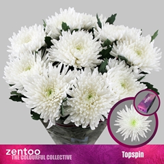 Chr G Topspin 70cm 85gram