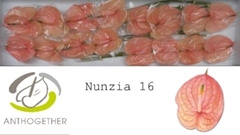 Anth A Nunzia 11cm Ø