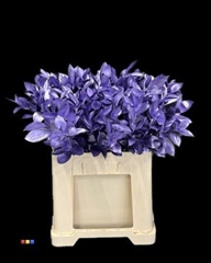 Ruscus Metallic Light Purple