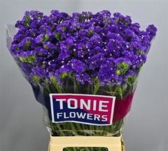 Lim S Cryst Dark Blu 70 - 60