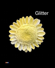 Chr T Stallion Dusty Creme + Glit Bio