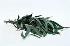 Eucalyp Klb Bs H% 50cm 145gram