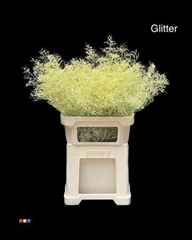 Limonium Creme + Glitter Bio