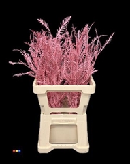 Decorgr Klb Pb 21% 60cm
