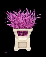 Decorgr Klb Pb 21% 60cm