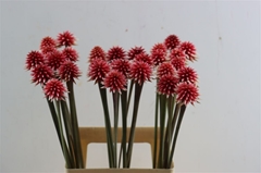 Flowers 70cm