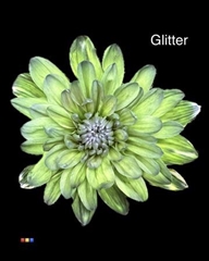 Chr T 2 Kl Baltica Polar Light + Glit Bio
