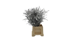 Dec Gr Kleurbe 21% 50cm